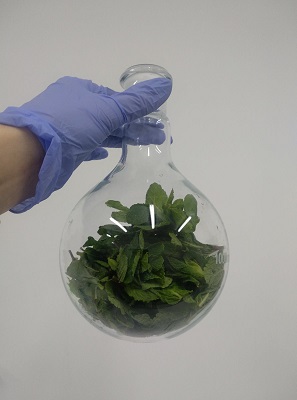 草本生物强化